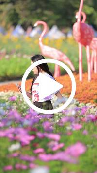 BIB:  <button type="button" onclick="openModal(27588533)" class="btn btn-primary btn-sm float-right" data-toggle="modal" data-target=".modal-high-quality">
                <i class="fa fa-download"></i> Download
                </button>